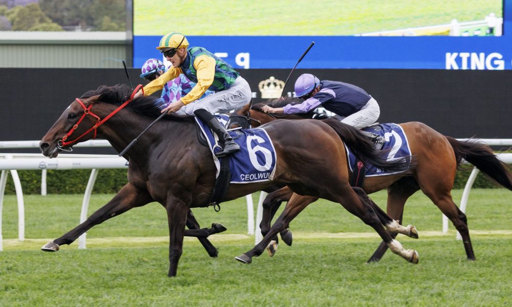 内线表现不 内线表现不